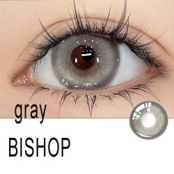 A-BISHOP GRAY COLOR SOFT CONTACT LENS (2PCS/PAIR)