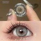 A-BISHOP GRAY COLOR SOFT CONTACT LENS (2PCS/PAIR)