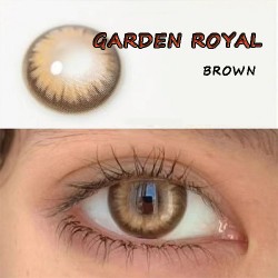 B-GARDEN ROYAL BROWN COLOR SOFT CONTACT LENS (2PCS/PAIR)