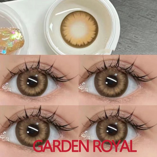B-GARDEN ROYAL BROWN COLOR SOFT CONTACT LENS (2PCS/PAIR) B-GARDEN ROYAL BROWN COLOR SOFT CONTACT LENS (2PCS/PAIR)
