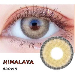 B-HIMALAYA BROWN COLOR CONTACT LENS (2PCS/PAIR)
