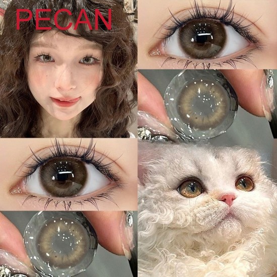 B-PECAN BROWN COLOR CONTACT LENSES  (2PCS/PAIR)