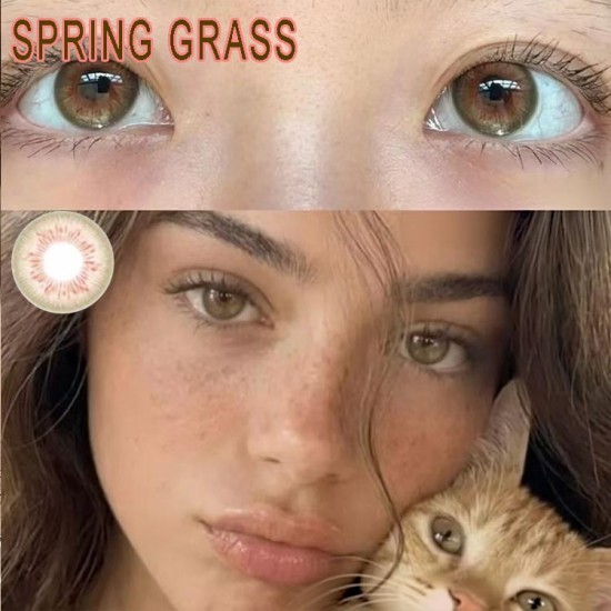 B-SPRING GRASS BROWN COLOR CONTACT LENS (2PCS/PAIR)