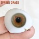 B-SPRING GRASS BROWN COLOR CONTACT LENS (2PCS/PAIR)