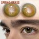 B-SPRING GRASS GREEN COLOR CONTACT LENS (2PCS/PAIR)