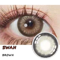 B-SWAN BROWN COLOR SOFT CONTACT LENS (2PCS/PAIR)