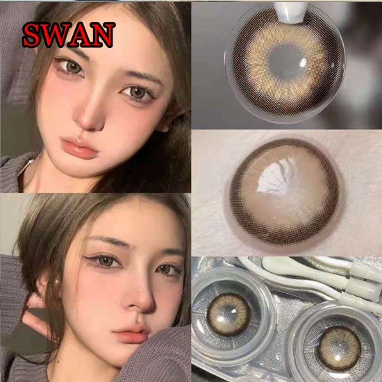 B-SWAN BROWN COLOR SOFT CONTACT LENS (2PCS/PAIR)