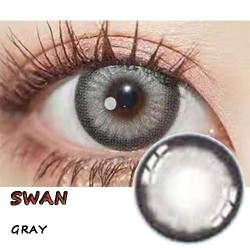 B-SWAN GRAY COLOR SOFT CONTACT LENS (2PCS/PAIR)
